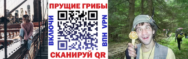 Псилоцибиновые грибы MAGIC MUSHROOMS  Сарапул 